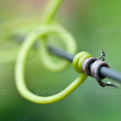 手机号在线轰炸